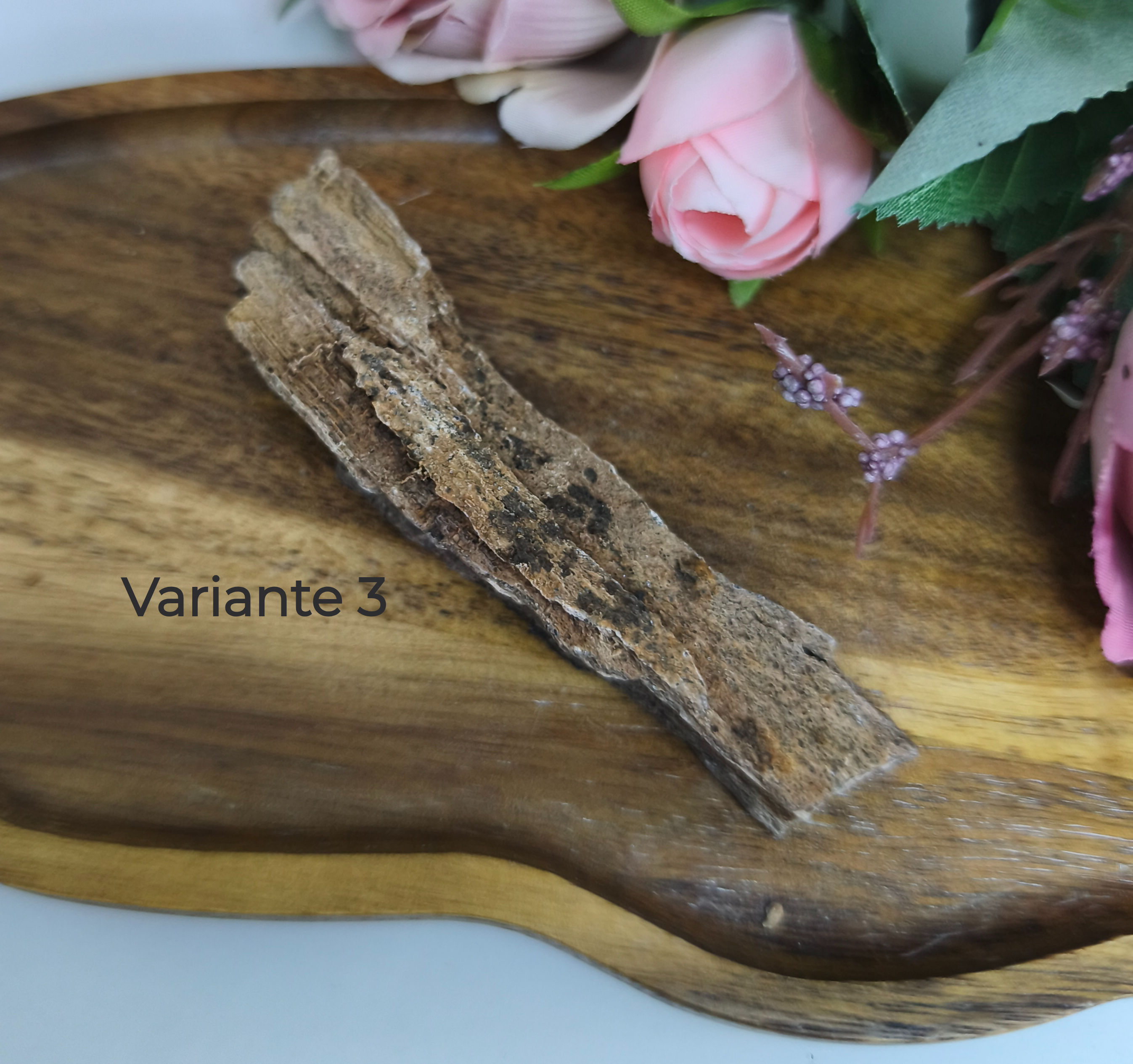 Versteinertes Holz
