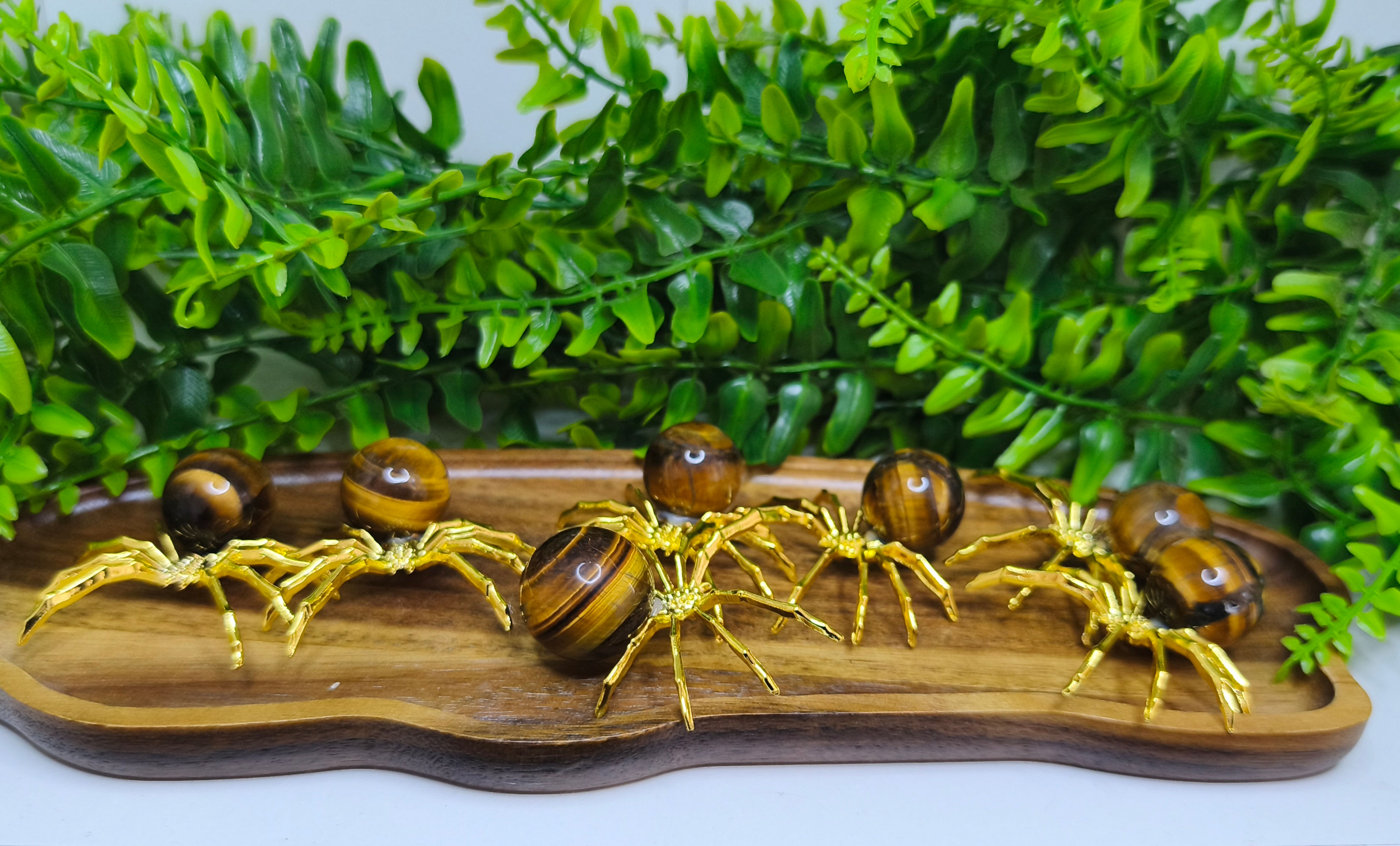 Tigerauge Kugel Spinne