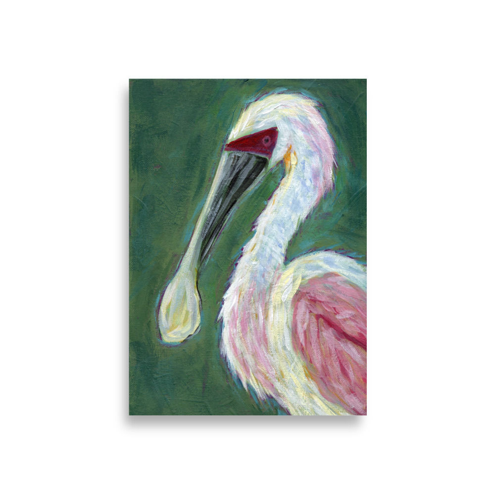 Pinky the Roseate Spoonbill