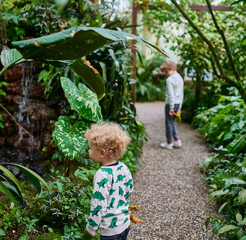 botanischer-garten-muenchen-3.jpg