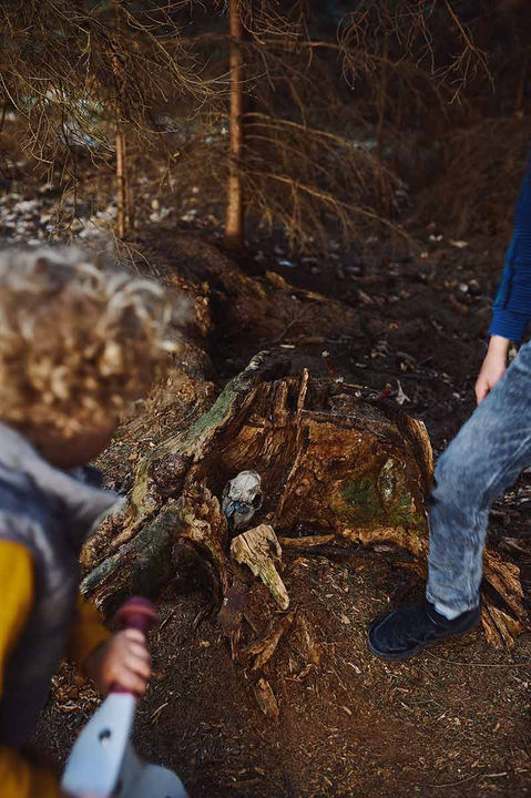 Geocache in München im Wald mit Kindern