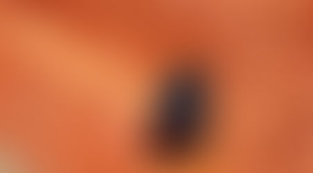 Afinal, como anda o Jeep Renegade 2027?