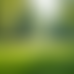 What Your Southern Hemisphere Planetary Placements Say About You in Astrology