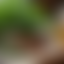 How Patience Can Prevent Spellwork Backfiring In Witchcraft