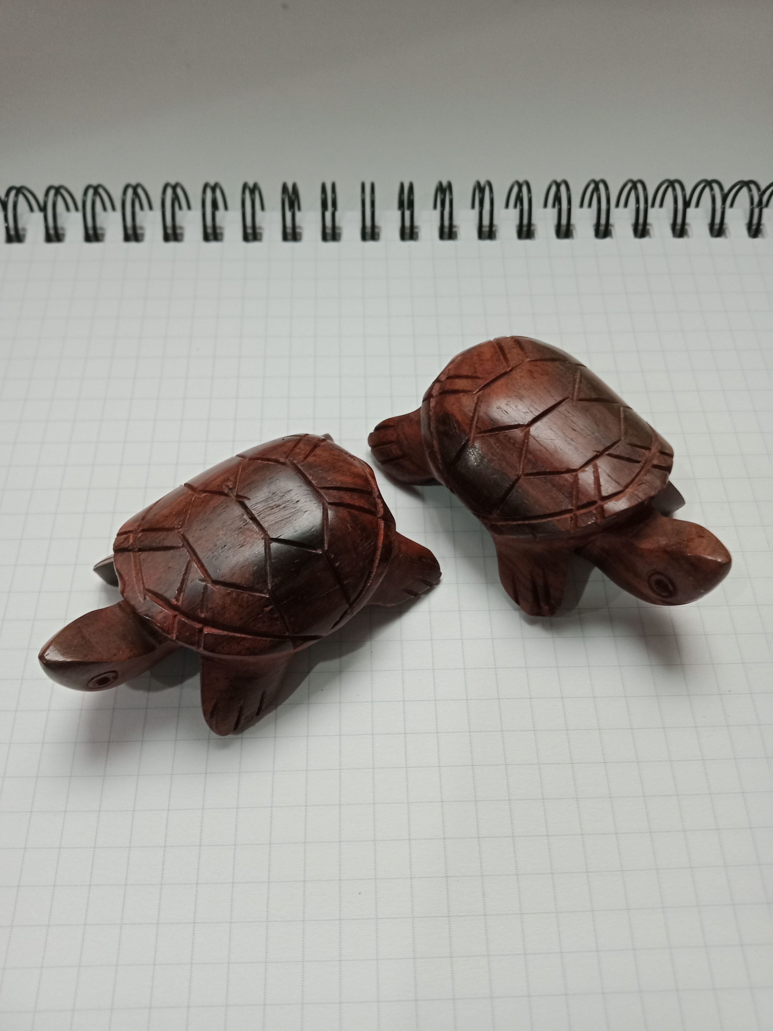 Pair of Smaller Teak Wood Turtles
