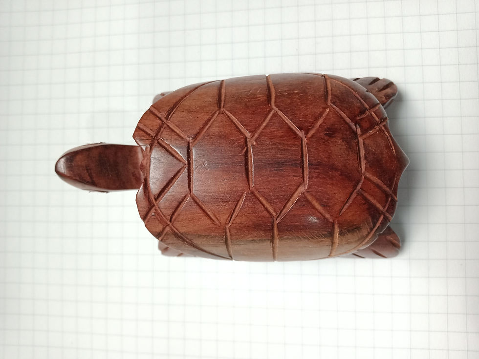 ภาพขนาดย่อ: Teak Wood Turtle