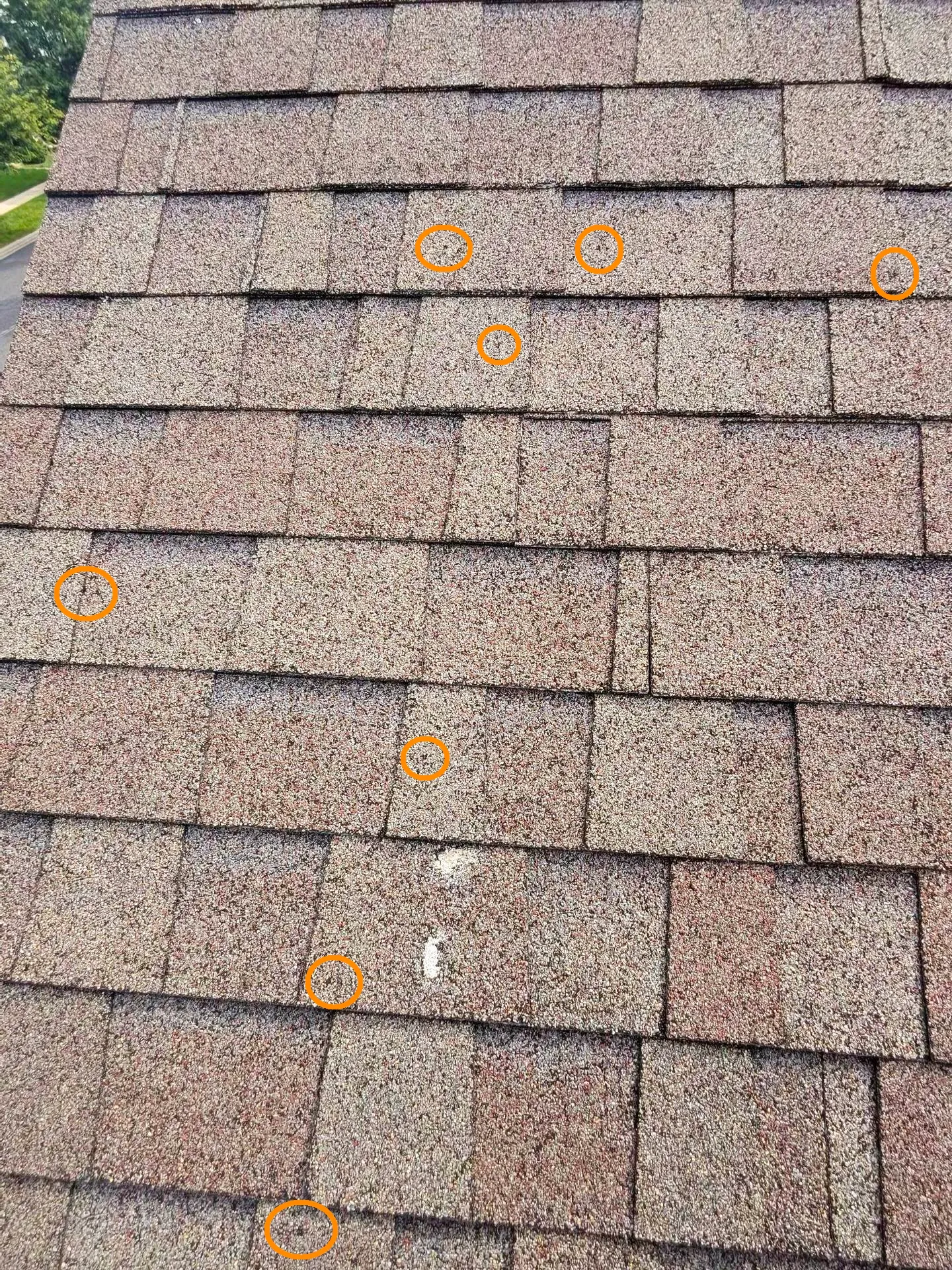 Close-up of hail impacts on asphalt shingles during a roof inspection. These small circular marks in