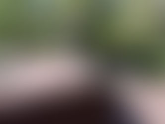 Close-up of a satellite dish mounted on an asphalt shingle roof with lag-bolted bracket feet penetrating the shingles.