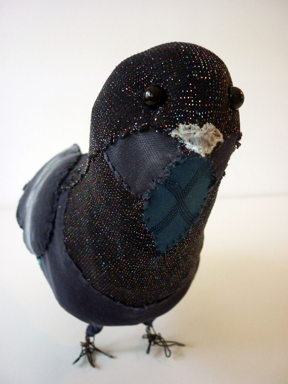 pigeon