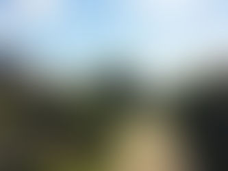 Best Time of Year to Replace Doors and Windows in the UK