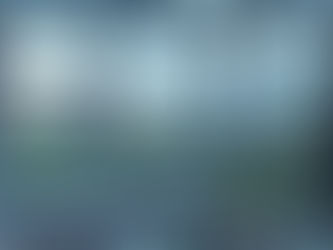 Aluminium vs uPVC Windows: Which Is Better for Your Home?