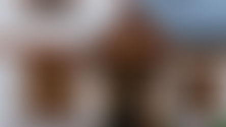 Timber Door and Window Systems: Timeless Craftsmanship for Modern Living