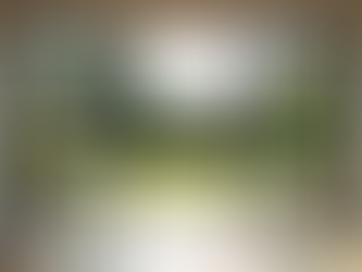 Sliding doors in a UK home