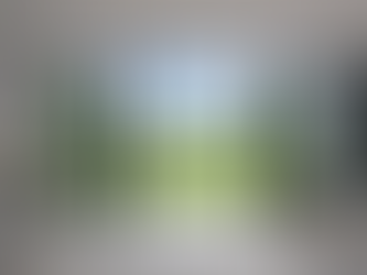 Bifold vs Sliding Doors: Which Is Better?