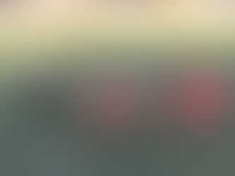 ДЮФЛХО. РЕЗУЛЬТАТИ ОСТАННІХ ІГОР