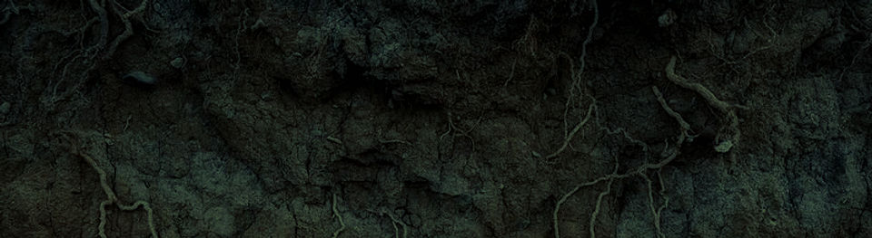 soil bg_edited_edited.jpg