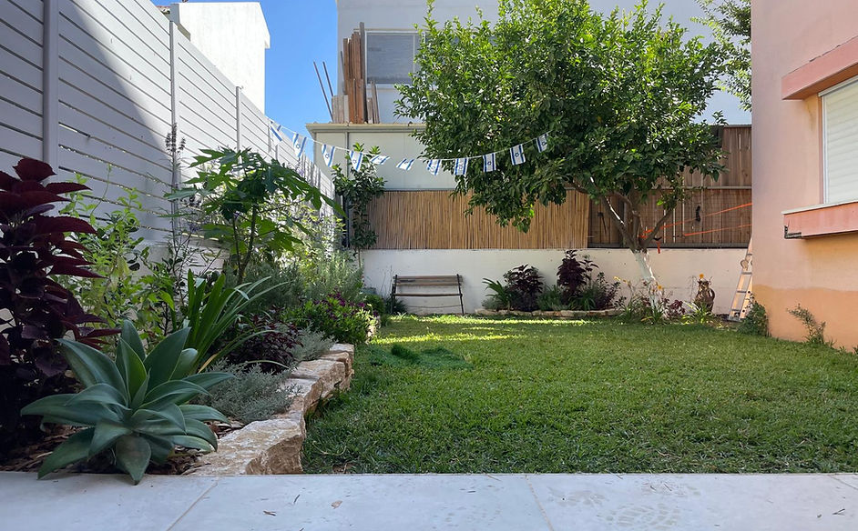 WhatsApp Image 2025-07-09 at 21.57.41.jpeg