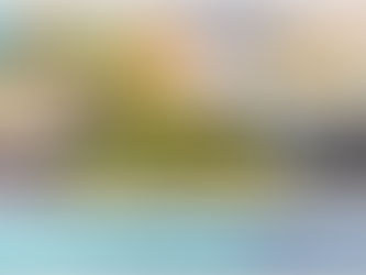Công dụng đông tây y về tâm sen