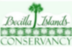 BICI logo.png