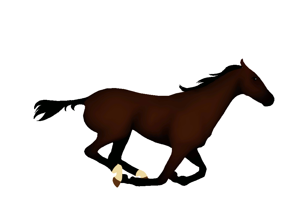 other horse fif.gif