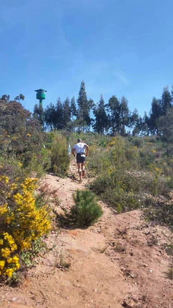 Trail de Almeirim