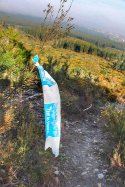 Trail de Almeirim