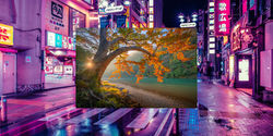 Away_PORTFOLIO_Page_14