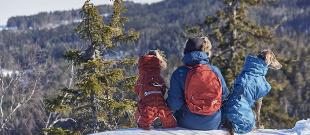 When does your dog need a coat?