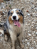 IMG_7094 (1).JPEG