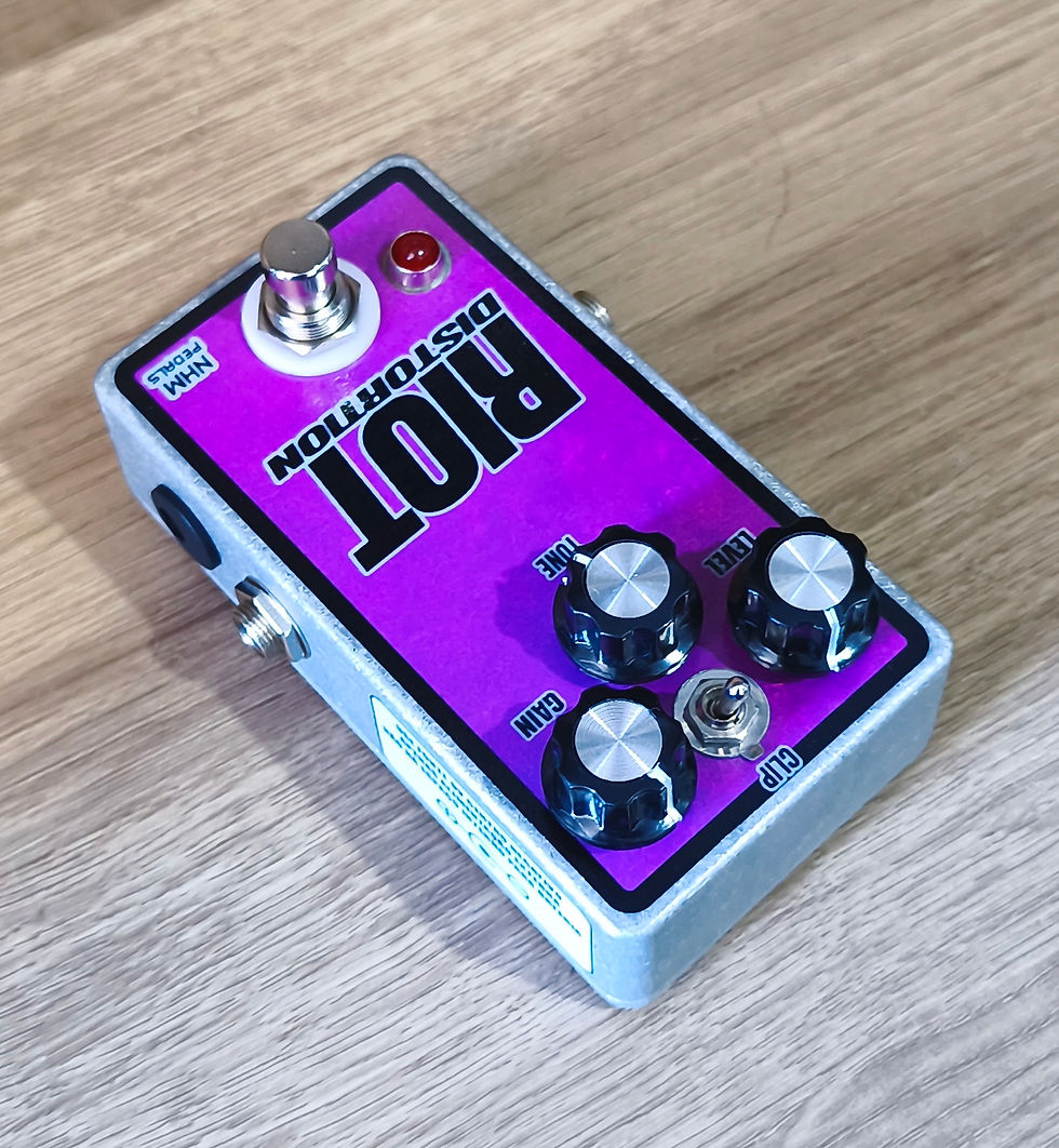 Miniatura: RIOT DISTORTION 