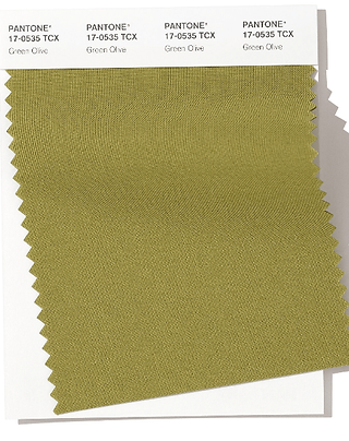 GreenOlive-Winter2019-min