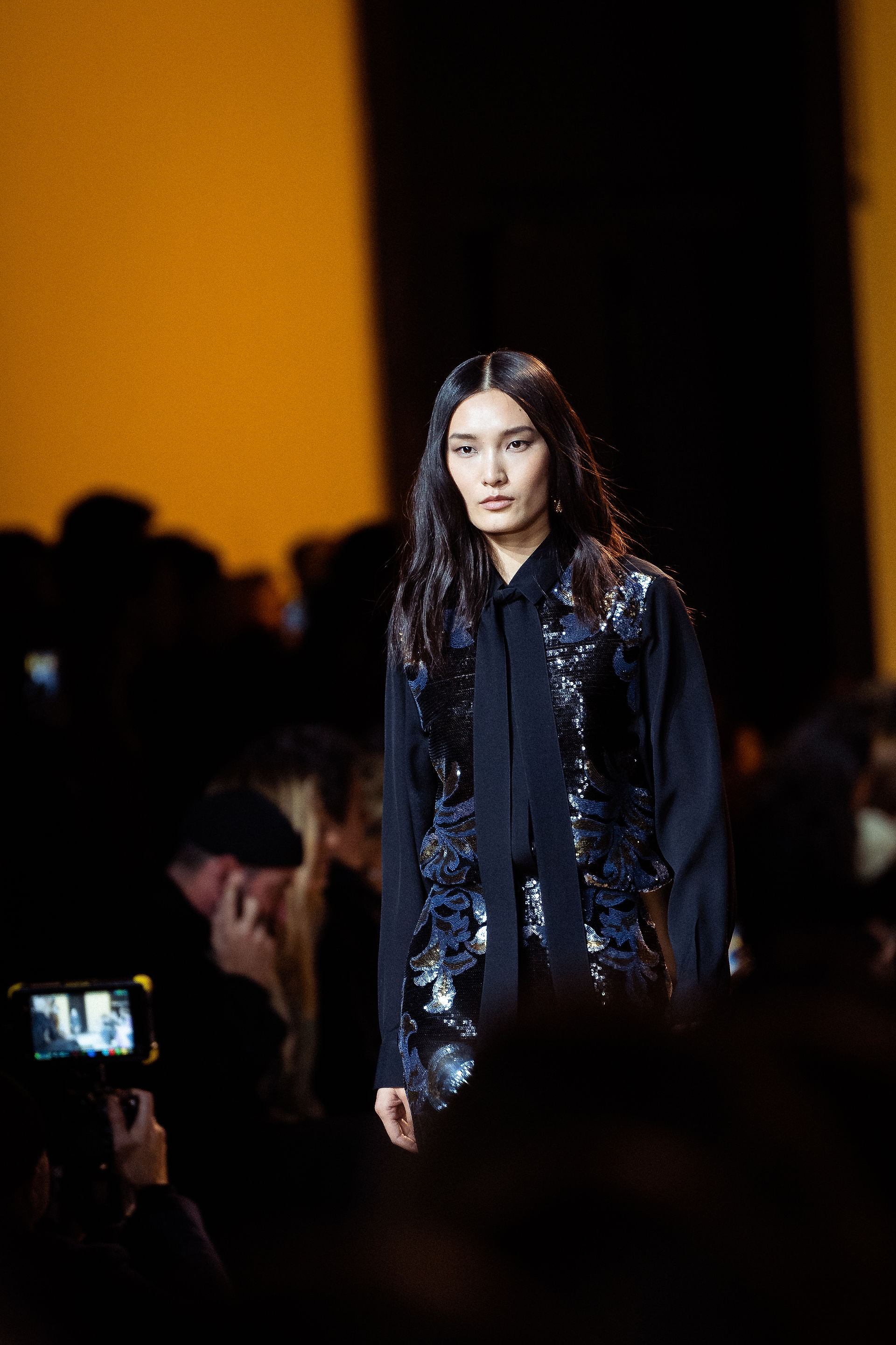 Elie Saab show Paris Women's Fashion Week FW24/25, photographed by Fabio Cannizzo 