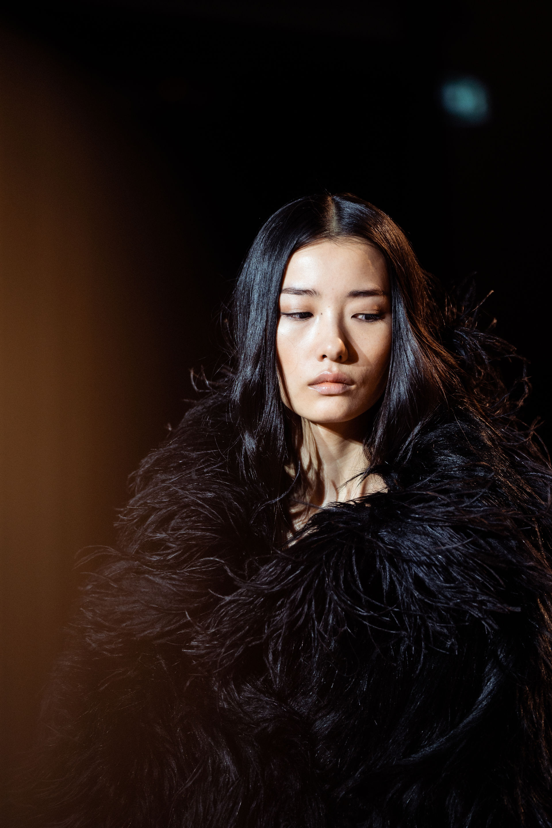 Elie Saab show Paris Women's Fashion Week FW24/25, photographed by Fabio Cannizzo 