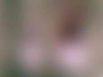 Vista Alegre, photographed by Érada from the Érada Agency, Paris Design Week 2024 Maison & Objet, 30th anniversary