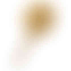 Kelly Wearstler Muse Vanity Mirror $895