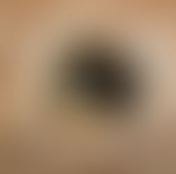 The City Girl Cooks Barcelona Brunch Guide 2019