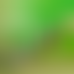 Progress Is Still Progress - Even When It Looks Like Chaos