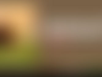 Devocional de Semana Santa para Niños: Un Viaje con Jesús contado por sus amigos