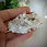 Thumbnail: Pink Lemurian Cluster - RARE