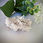 Thumbnail: Pink Lemurian Cluster - RARE