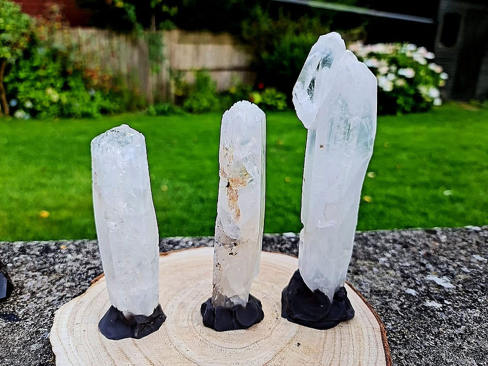 Colombian Crown Blue Smoke Lemurian XL