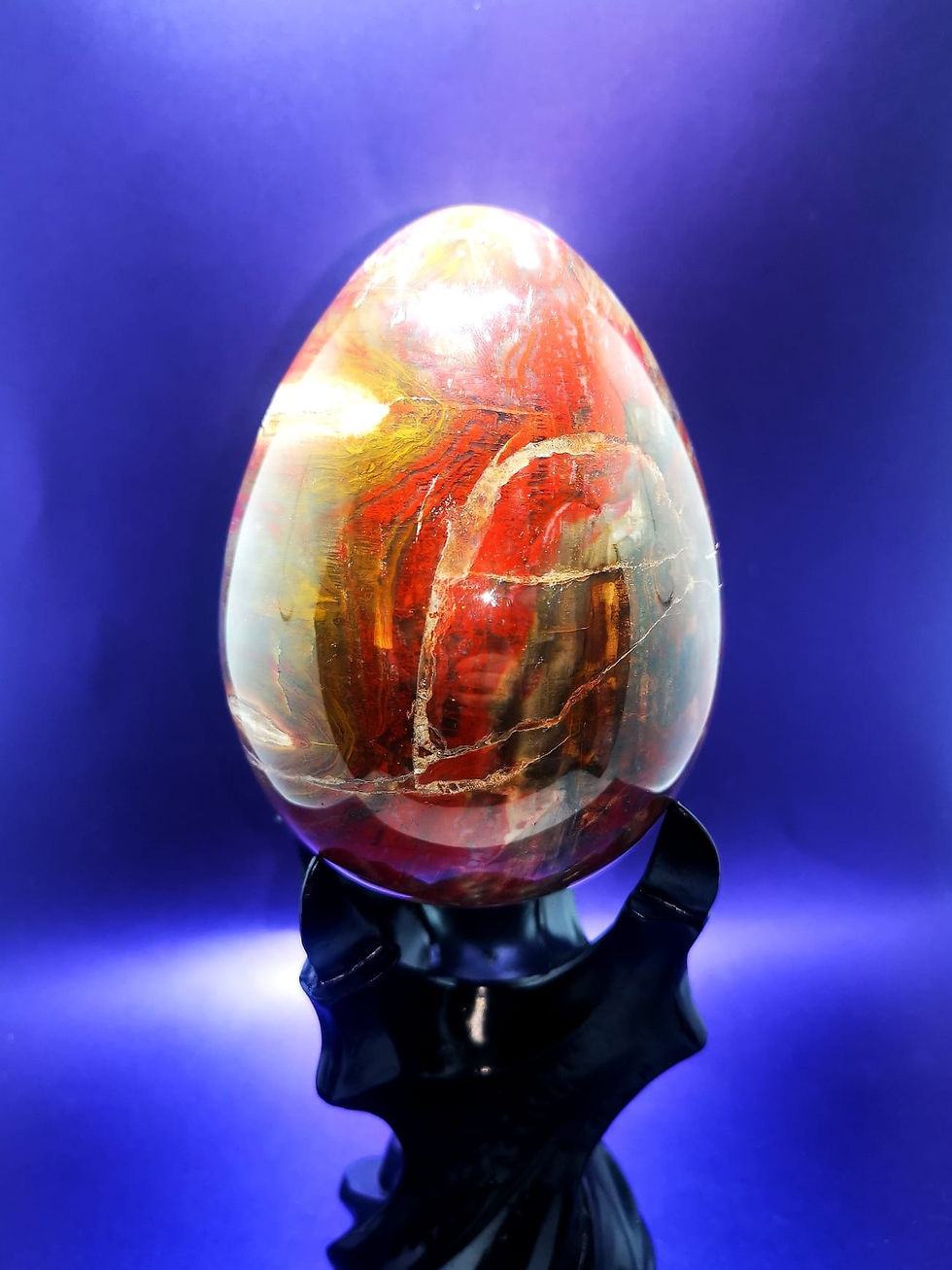 Large Petrified Wood Egg