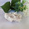 Thumbnail: Pink Lemurian Cluster - RARE