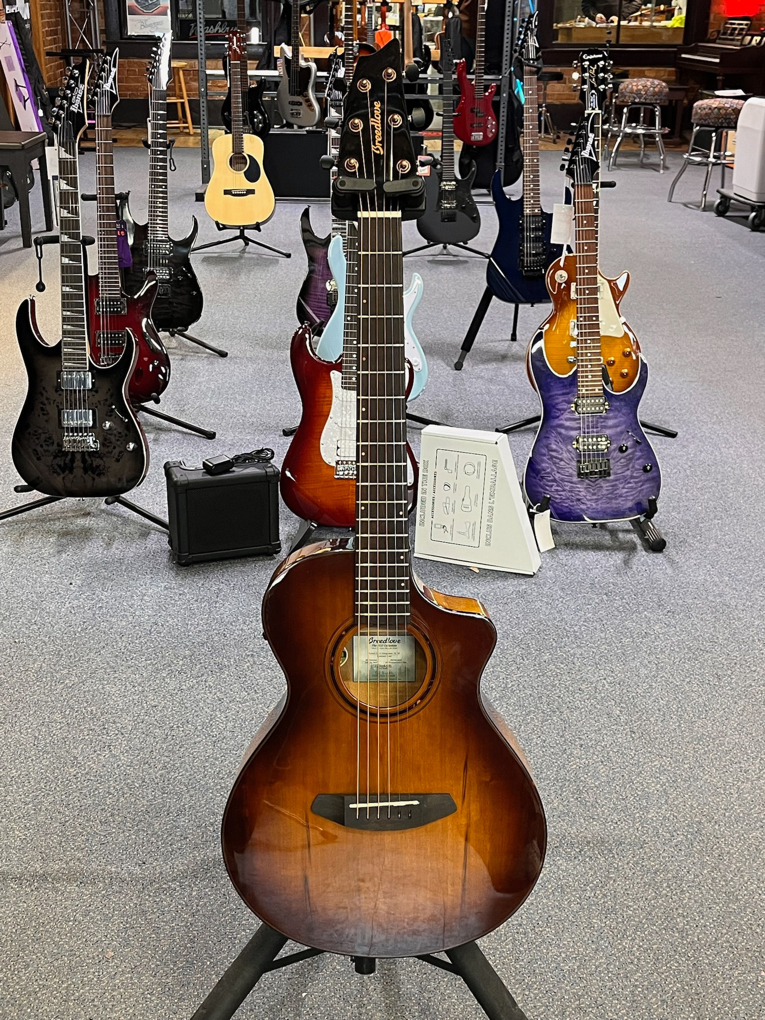 Breedlove Pursuit EX S Companion TE CE