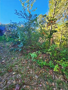 Brush clearing and vegetation removal in Rowley Massachusetts