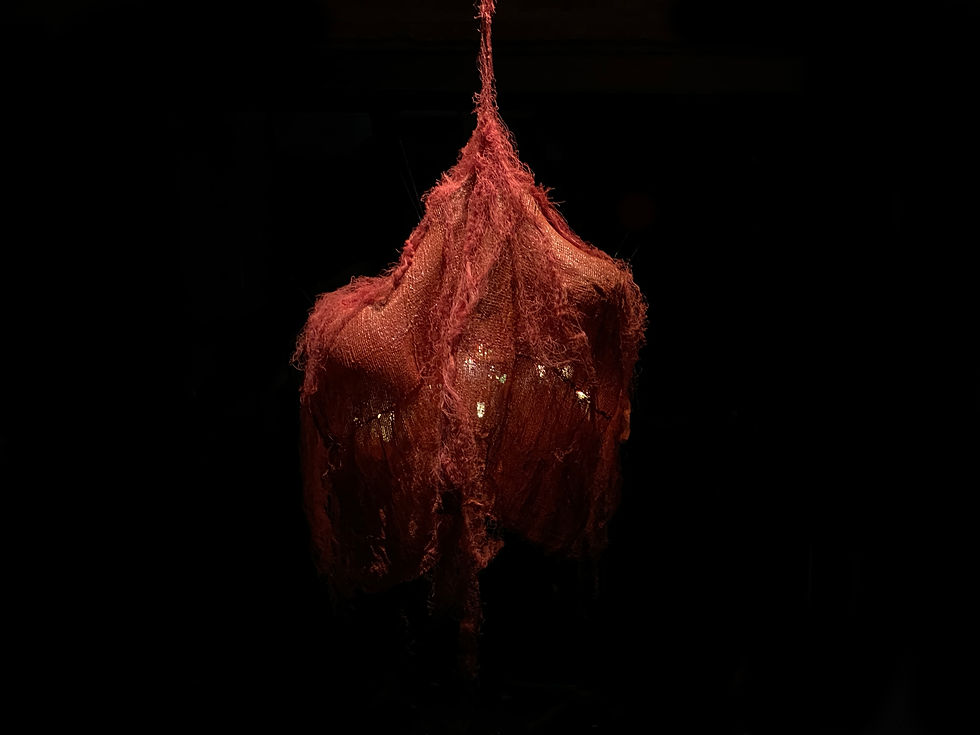 cúpulas de reconstrucción