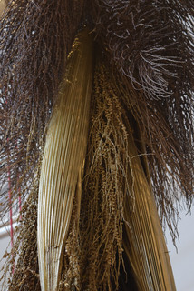 pindo detalles4.jpg