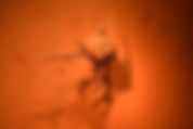 tacurupared02.jpg