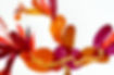 relacionesIMG_1137_edited.jpg
