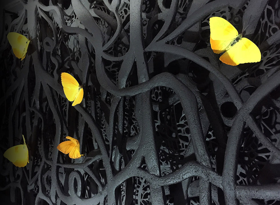 temporal caja de luz